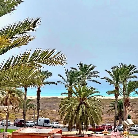 Vista Faro In * مورو ذيل خابلِ