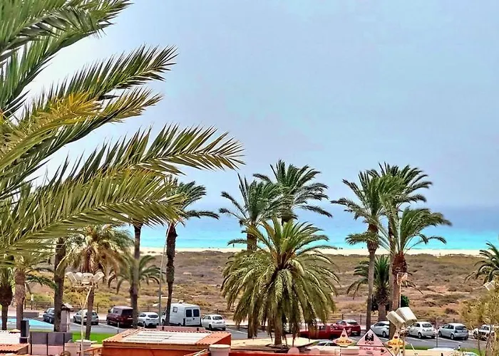 Vista Faro In * مورو ذيل خابلِ